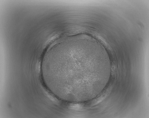 X0000116790454200912241205