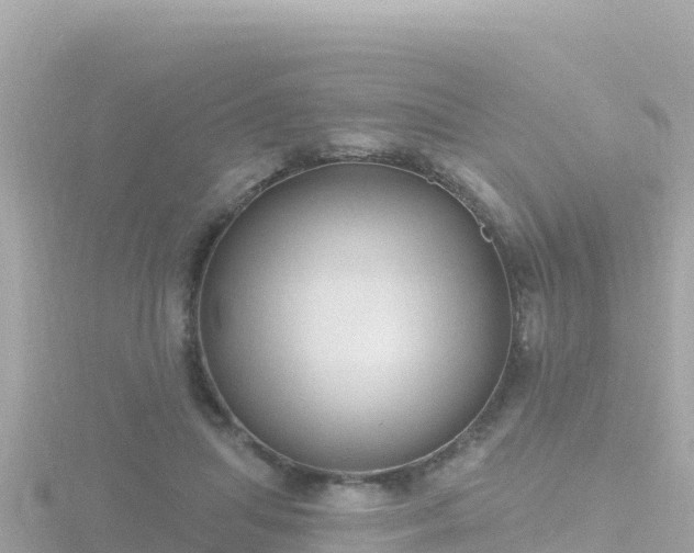 X0000116790455200912241205