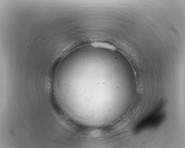 X0000116790456200912241205