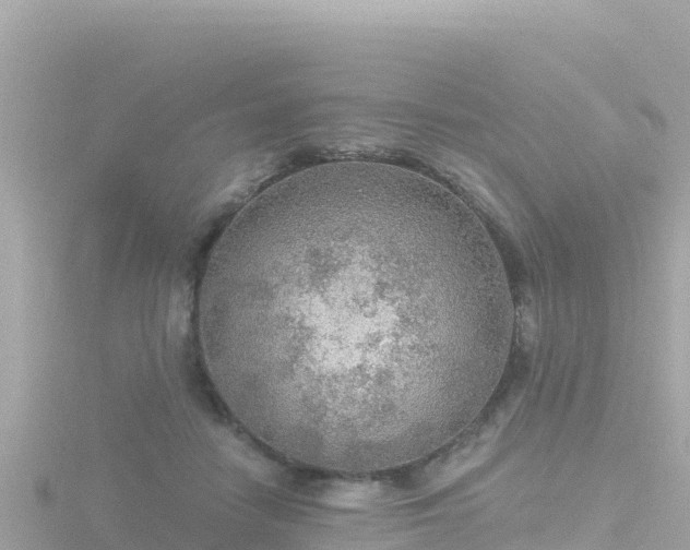 X0000116790458200912241205