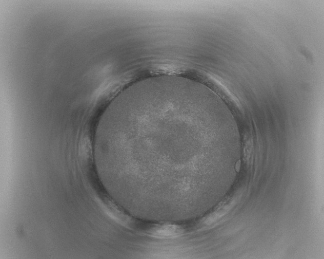 X0000116790459200912241205