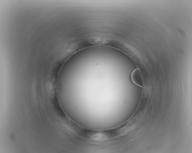 X0000116790460200912241205