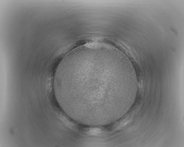 X0000116790462200912241205