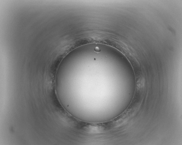 X0000116790464200912241205