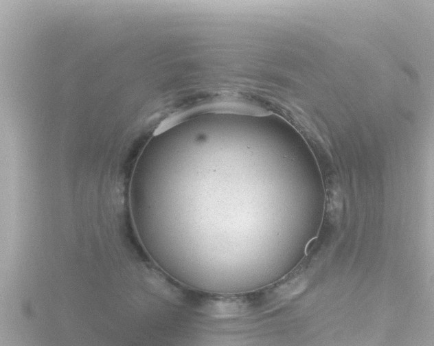 X0000116790466200912241205