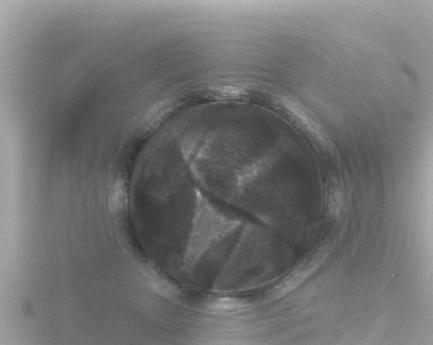 X0000116790467200912241205