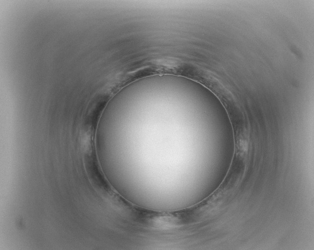 X0000116790468200912241205