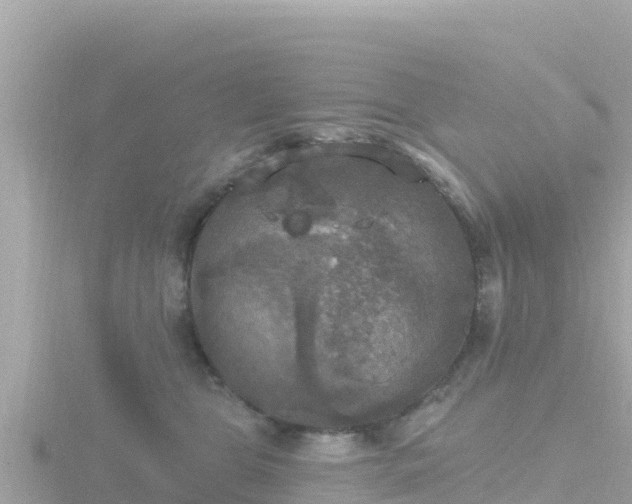 X0000116790469200912241205