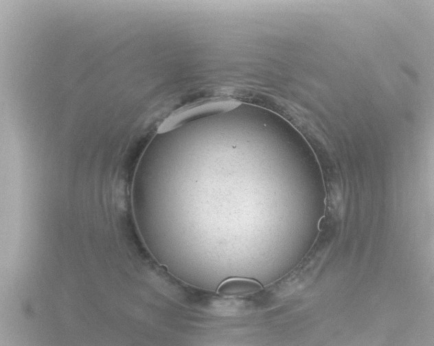 X0000116790470200912241205