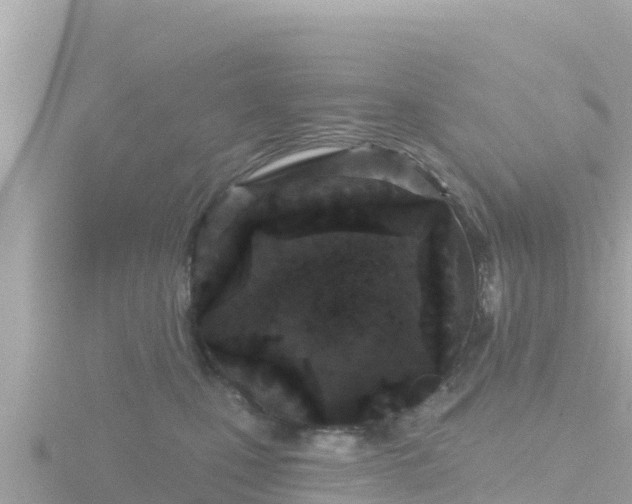 X0000116790471200912241205