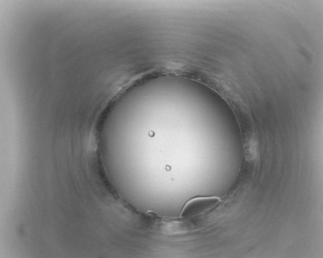 X0000116790472200912241205