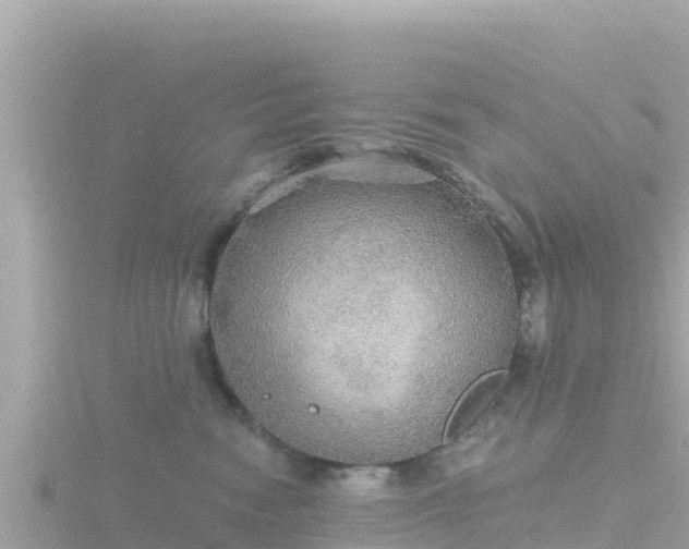 X0000116790474200912241205