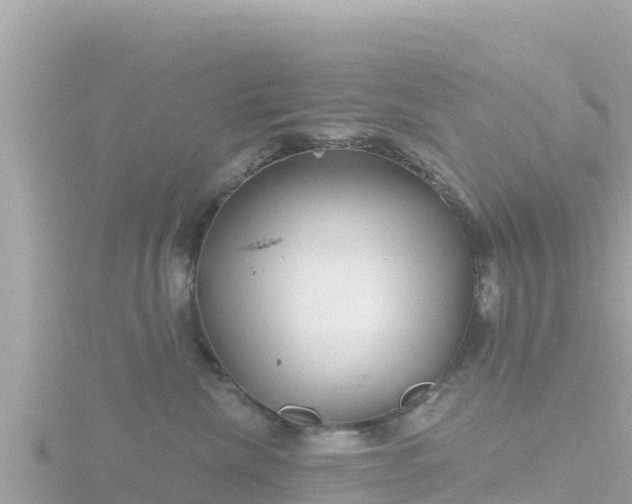 X0000116790476200912241205