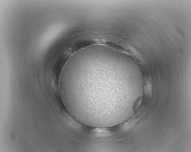 X0000116790477200912241205