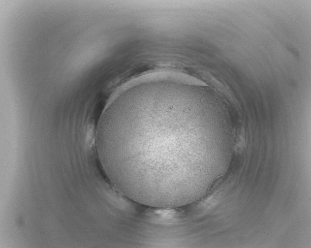 X0000116790478200912241205