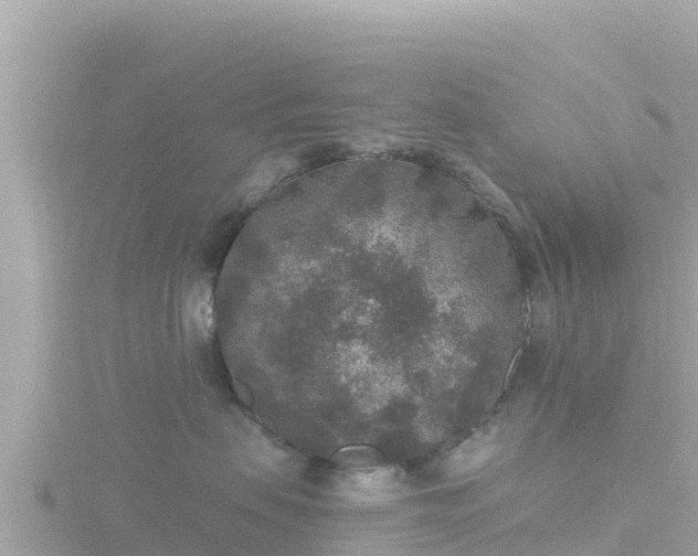 X0000116790479200912241205