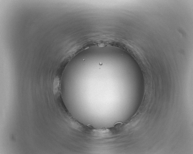 X0000116790480200912241205