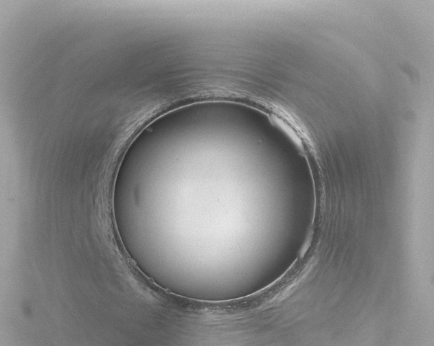 X0000116790481200912241205