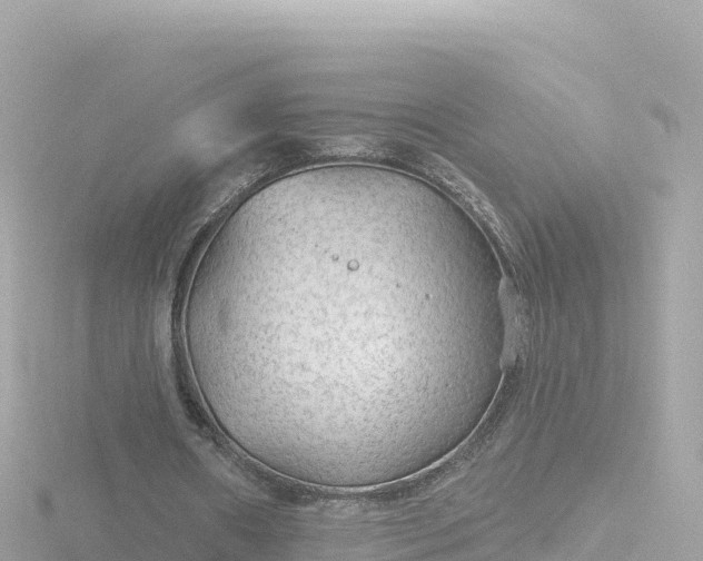 X0000116790482200912241205