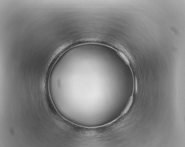 X0000116790483200912241205