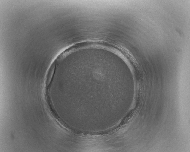 X0000116790484200912241205