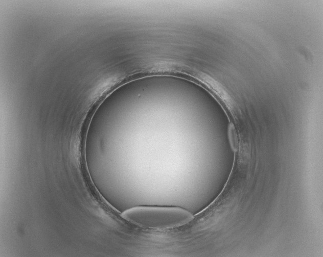 X0000116790485200912241205