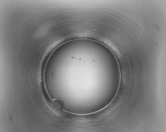 X0000116790486200912241205