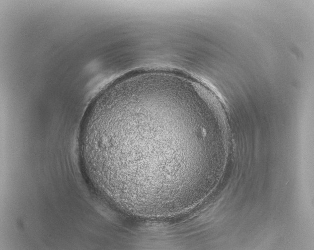 X0000116790487200912241205