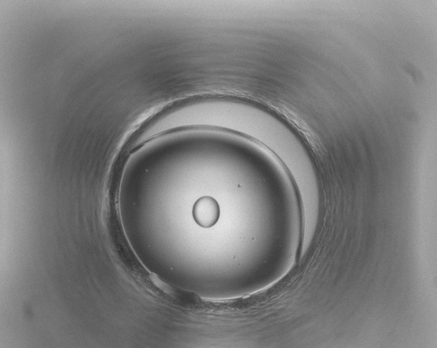 X0000116790488200912241205