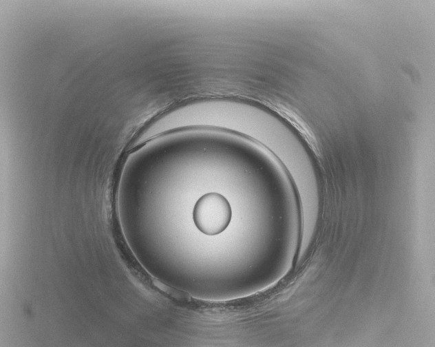 X0000116790489200912241205