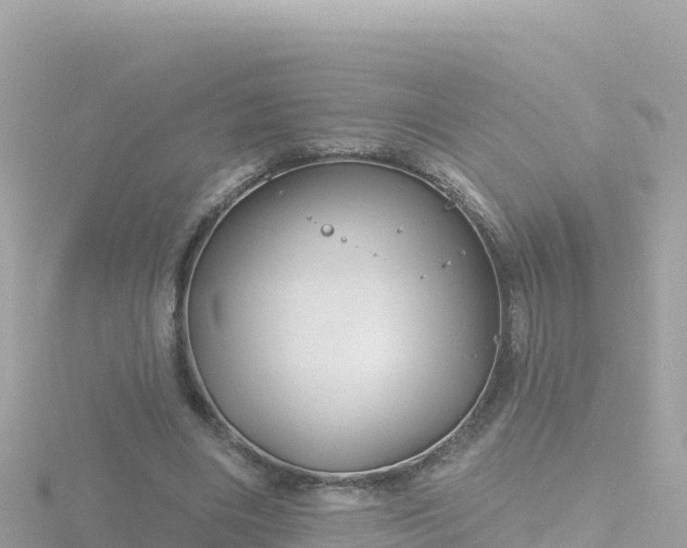 X0000116790490200912241205