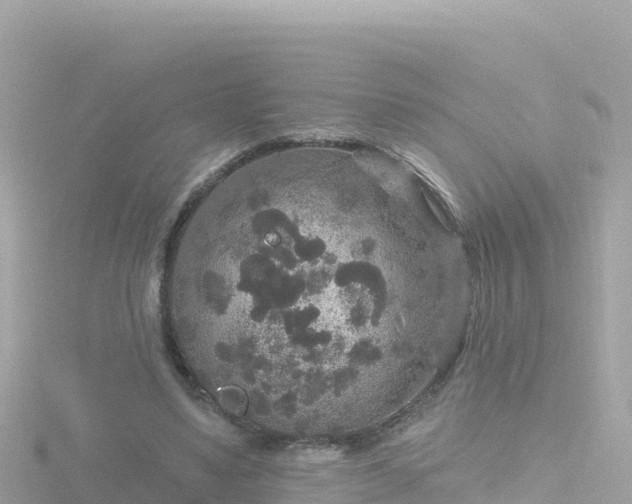 X0000116790491200912241205