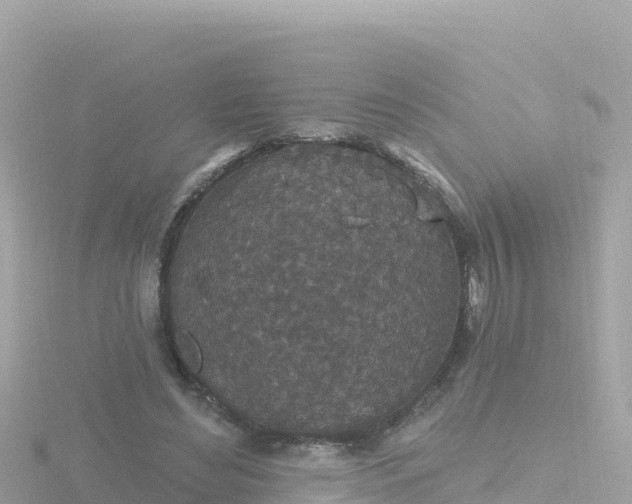 X0000116790492200912241205