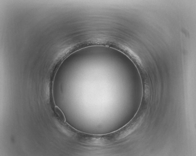 X0000116790493200912241205