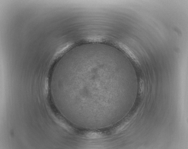 X0000116790494200912241205