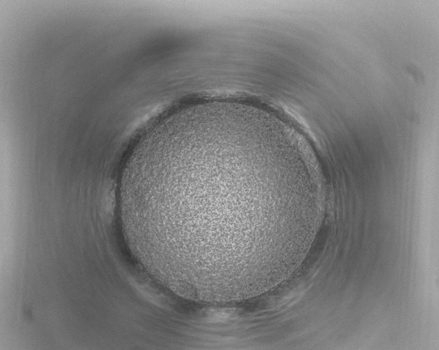 X0000116790495200912241205