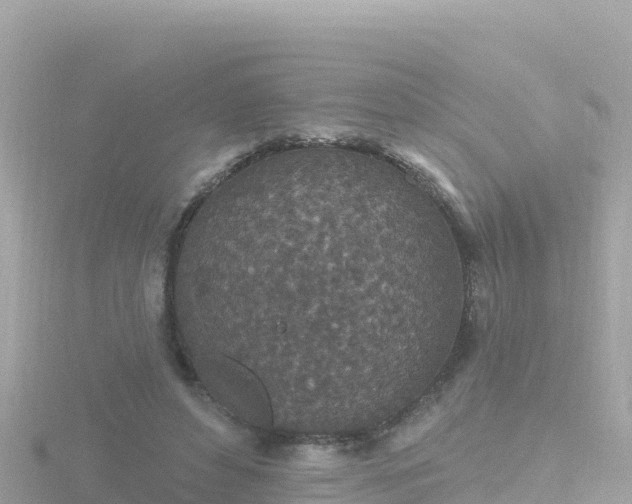 X0000116790496200912241205