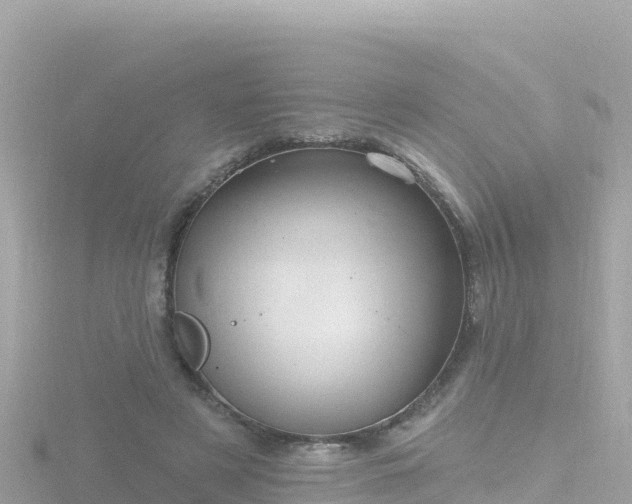 X0000116790497200912241205