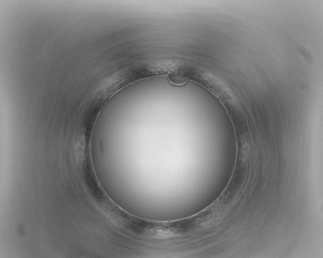 X0000116790498200912241205