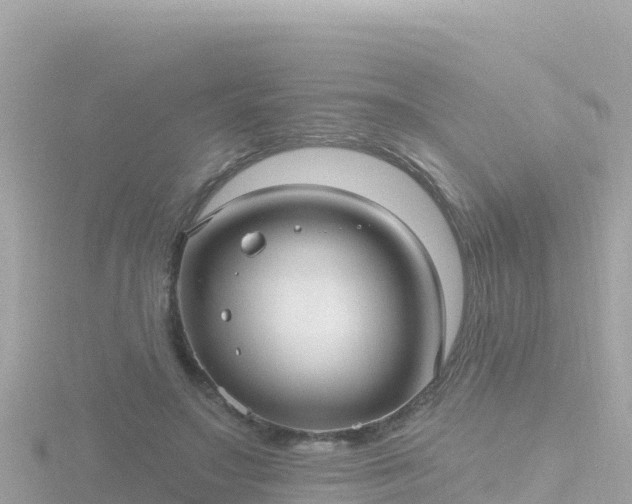 X0000116790499200912241205