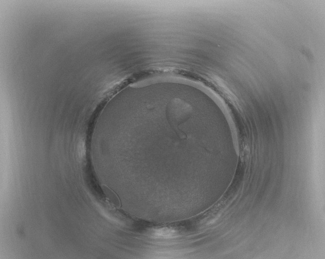 X0000116790500200912241205