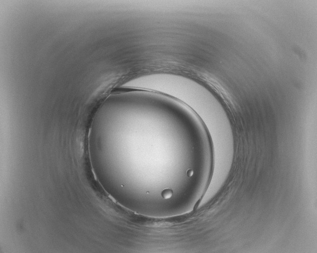 X0000116790501200912241205