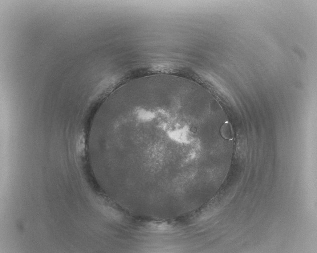 X0000116790502200912241205