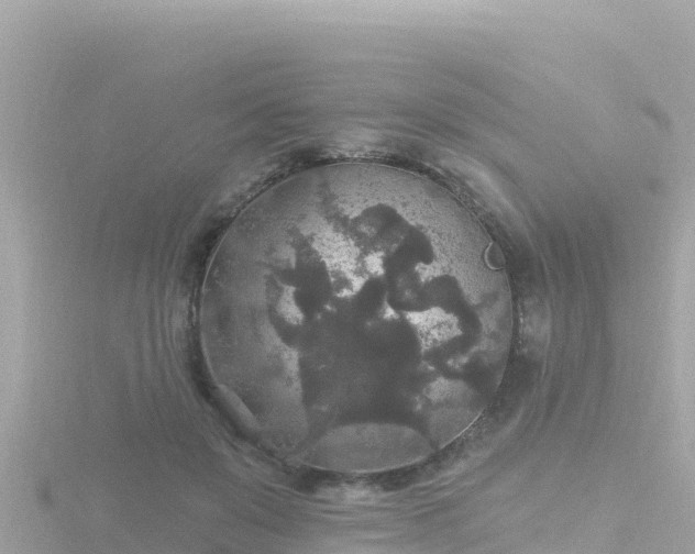 X0000116790503200912241205