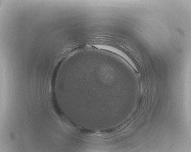 X0000116790504200912241205