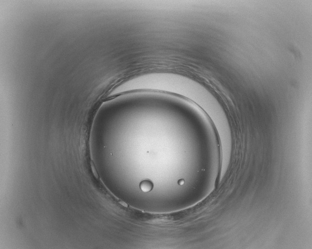 X0000116790505200912241204