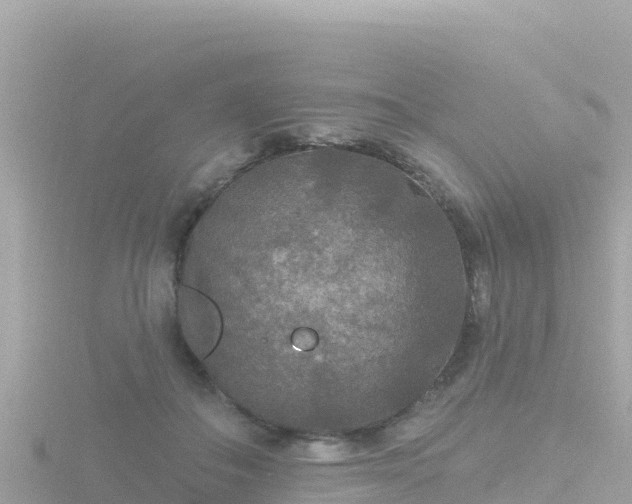 X0000116790506200912241204