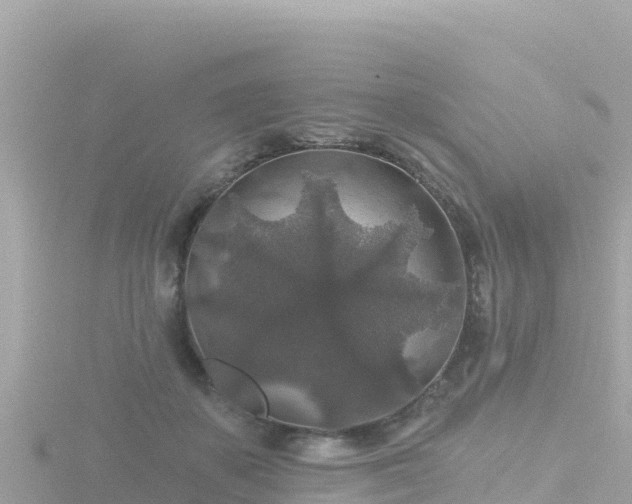 X0000116790507200912241204