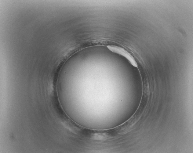 X0000116790508200912241204