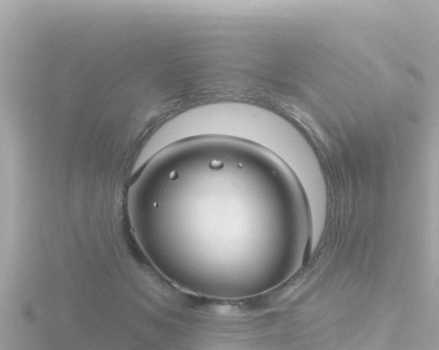 X0000116790509200912241204